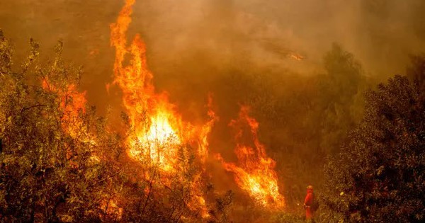 Cháy rừng nghiêm trọng ở Nam California (Mỹ) phá hủy 132 công trình