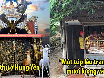 Những ngôi nhà Việt Nam bỗng nổi tiếng vì trông không giống ai, số 3 ai nhìn cũng choáng