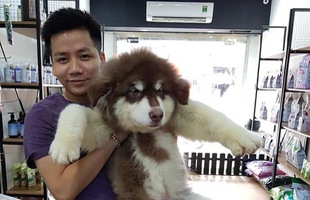 Dân mạng kéo vào đòi Khoa Pug 