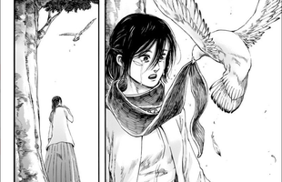 Attack on Titan: Bức xúc vì Mikasa và Eren quá thiệt thòi trong chap cuối, các fan lên tiếng 