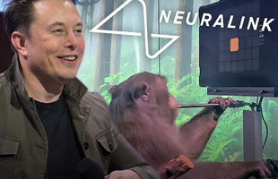 Tận mắt chứng kiến con khỉ của Elon Musk chơi game như người