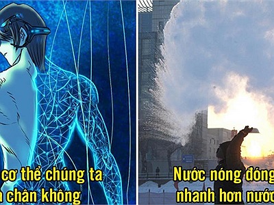 17 sự thật khoa học thú vị có thể bạn chưa biết, 