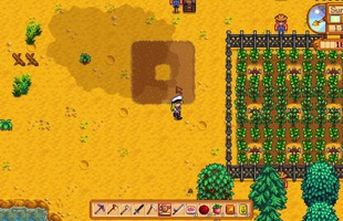 13 mẹo nhỏ hữu ích giúp bạn trở thành ông trùm trang trại trong Stardew Valley (phần 2)