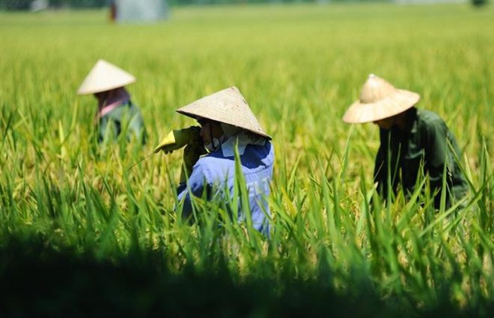 Bắc bộ, Hà Nội ngột ngạt, nắng nóng trở lại, Tây Nguyên, Nam bộ tiếp tục mưa to