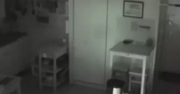 Bị mất đồ ăn, xem camera, người đàn ông phát hiện bí mật động trời