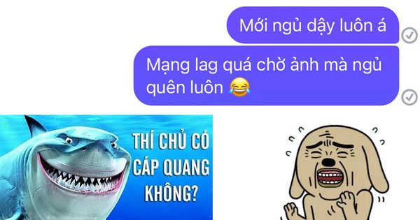 Cộng đồng mạng kêu trời vì 