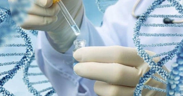 Bị ung thư giai đoạn cuối, ông bố đơn thân nhận kết quả ADN 'không phải cha con'