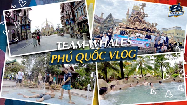 Team Whales “quậy đục nước” ở Phú Quốc, chuẩn bị bùng nổ cho kỳ VCS sắp tới