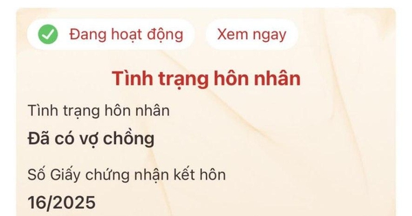 Một thông tin quan trọng vừa được cập nhật trên VNeID: Người dân kiểm tra ngay để không bỏ lỡ