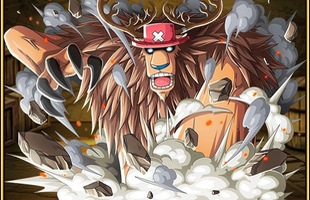 One Piece: Tài năng có thừa nhưng 