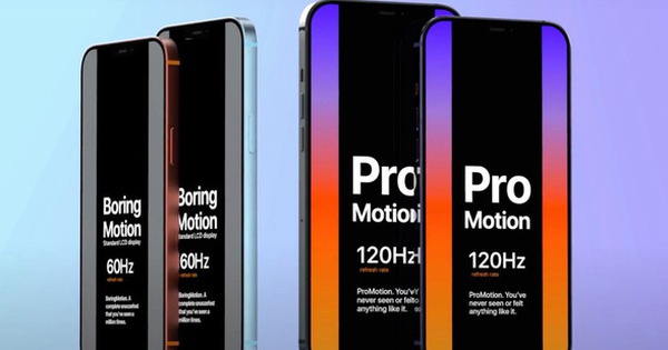 Tò mò cực độ về iPhone 12 Pro: Màn hình ProMotion 120Hz, pin lớn hơn, Face ID cải tiến và camera zoom quang 3x