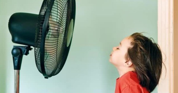 Một chiếc quạt có nên chạy cả ngày? Những lưu ý người dùng nên nhớ để sử dụng hiệu quả, an toàn