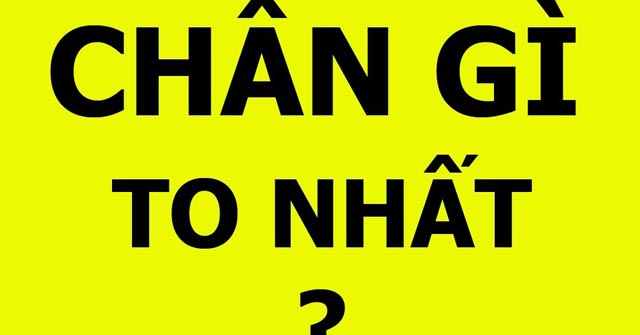 Đố bạn giải được 5 câu đố này trong 2 phút