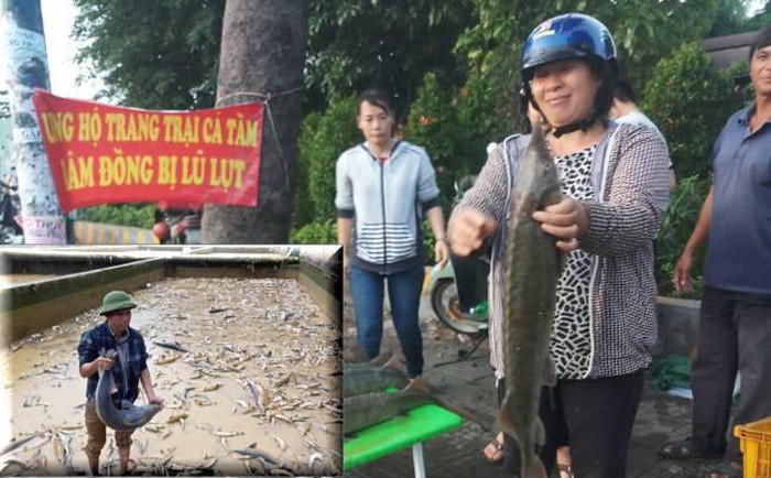 Người TP.HCM mua cá tầm giá rẻ ủng hộ chủ vựa ở Lâm Đồng mất hàng chục tỉ vì lũ