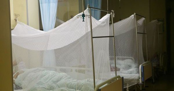 1.387 ca mắc mới virus Chikungunya được phát hiện tại Quảng Đông (Trung Quốc), chuyên gia cảnh báo nên cảnh giác