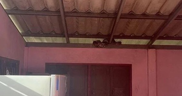 Chứng kiến cảnh tượng kinh hoàng trong bếp, cụ bà 74 tuổi sợ hãi đến mất ngủ