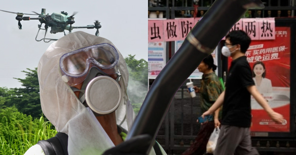 Toàn cảnh dịch sốt Chikungunya lan nhanh trên toàn thế giới: 240.000 ca mắc, 90 người tử vong; WHO ban hành cảnh báo