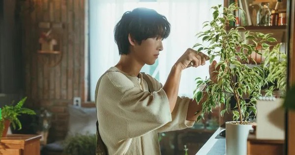 Khán giả lạnh nhạt với phim mới của Song Joong Ki, netizen mỉa mai: Người đàn ông hai lần hôn nhân, giờ đóng phim lãng mạn xem thấy kì