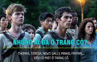 Sơ lược về những khái niệm trong bộ phim Maze Runner mà bạn có thể chưa biết