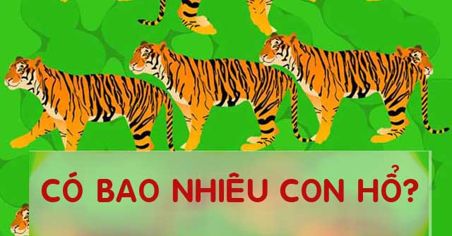 Những bài quiz khiến 90% người đọc phải đầu hàng