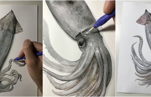 Nghệ sĩ Nhật vẽ tranh siêu thực khiến người xem cứ ngỡ như đang nhìn một con mực sống trước mặt