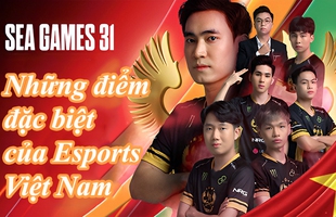 Infographic: Đội tuyển Esports 