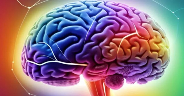 Xem hình ảnh 3D chi tiết chưa từng có về não người