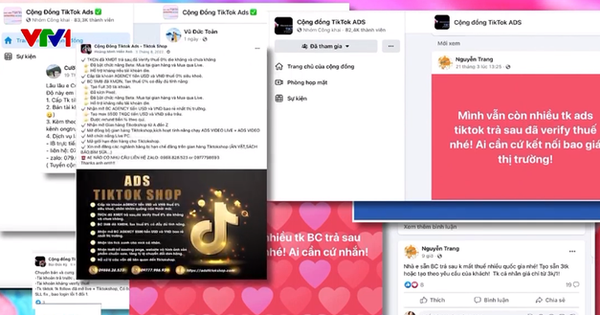 Công khai dịch vụ cho thuê tài khoản quảng cáo “miễn thuế” trên TikTok