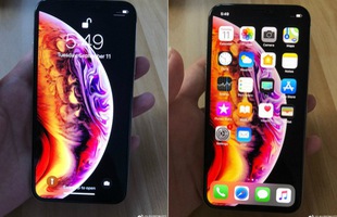 iPhone Xs lộ ảnh trên tay trước giờ G, hóa ra hình nền mới là để che tai thỏ