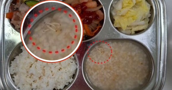Rùng mình với khay cơm nổi đầy ấu trùng tại một nhà trẻ ở Hàn Quốc