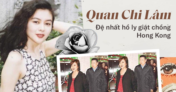 Quan Chi Lâm: Hồ ly giật chồng số 1 Hong Kong và quá khứ tiểu tam lẫy lừng, về già sống cô độc bên khối gia sản kếch xù