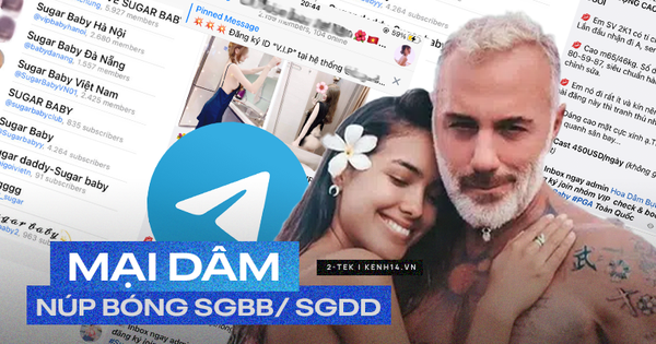 Telegram như một ổ tệ nạn: tràn lan hội nhóm tìm Sugar Baby, Sugar Daddy đến các động 