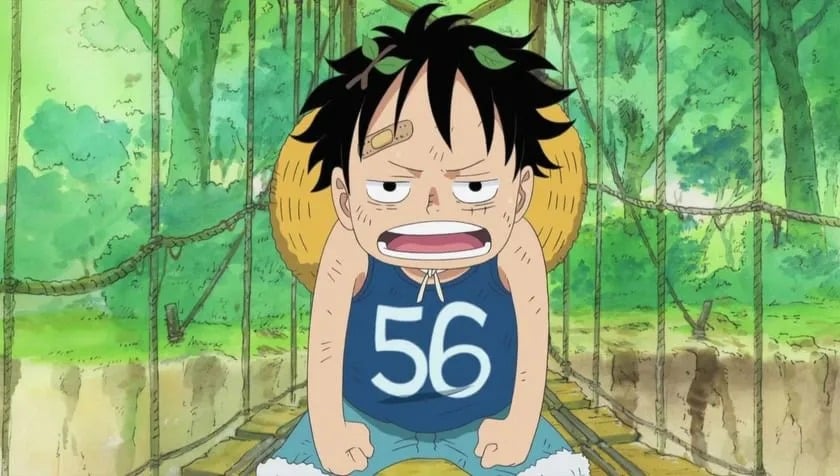 Vì sao Luffy luôn gắn liền với con số 56 trong suốt hành trình của mình?