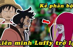 Spoiler One Piece 974: Kanjuro chính là kẻ nằm vùng, Luffy cùng liên minh thẳng tiến đến sào huyệt Kaido