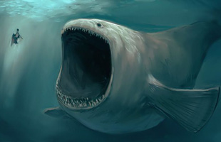 Hội chứng sợ biển Thalassophobia: Nỗi ám ảnh không thể lý giải với đại dương