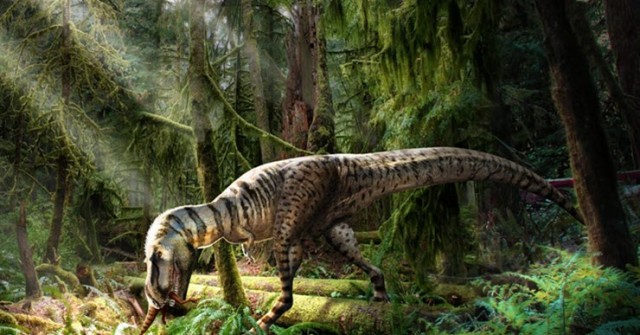 Phát hiện loài khủng long mới là anh em họ với bạo chúa T. Rex
