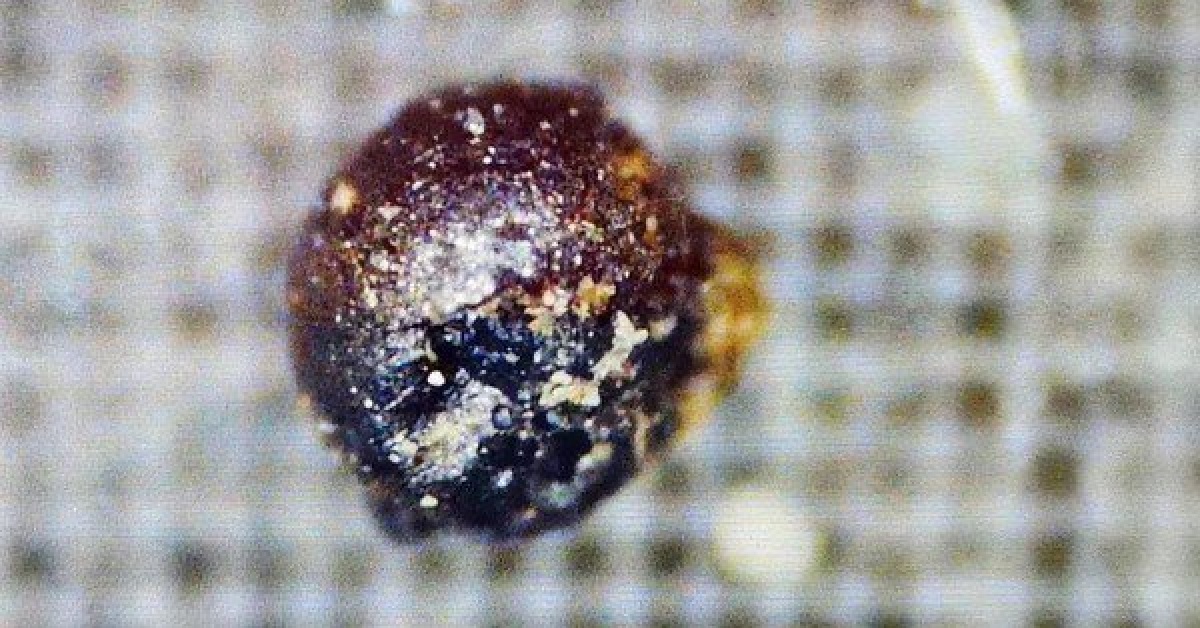 Nhà khoa học Mỹ vớt được đồ công nghệ của người ngoài hành tinh?