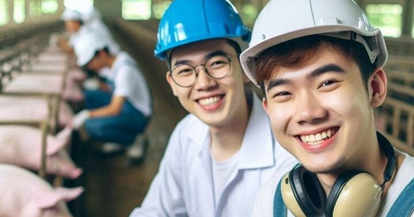 Nhân viên chăn lợn được trả lương tới 140 triệu đồng mỗi tháng