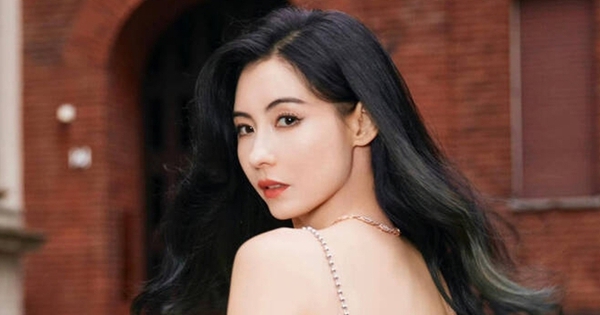 Trương Bá Chi còng lưng chạy show vì hết tiền?