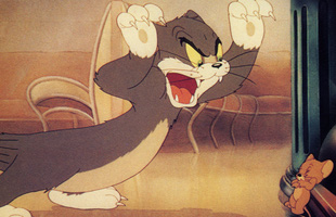 Tất tần tật về bộ đôi “không đội trời chung” Tom và Jerry