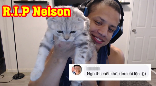 Bảo mèo cưng Tyler1 “ngu thì chết”, game thủ bị nhà trường shutdown ngay và luôn