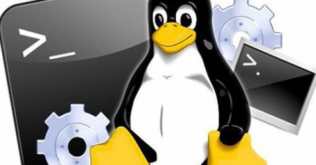 Hệ điều hành Linux là gì? Ưu, nhược điểm, cách cài đặt và sử dụng