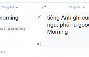 Google Dịch đang biến thành trò đùa của cư dân mạng Việt