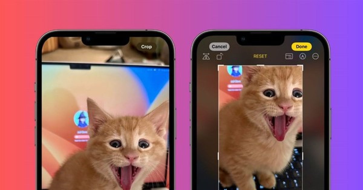 Apple cập nhật tính năng mới trên iOS 17 dành riêng cho 