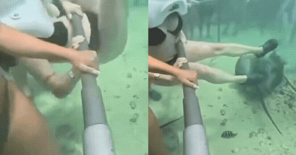 Mũ cung cấp oxy bất ngờ bị rơi, du khách suýt chết ngạt trong trải nghiệm 