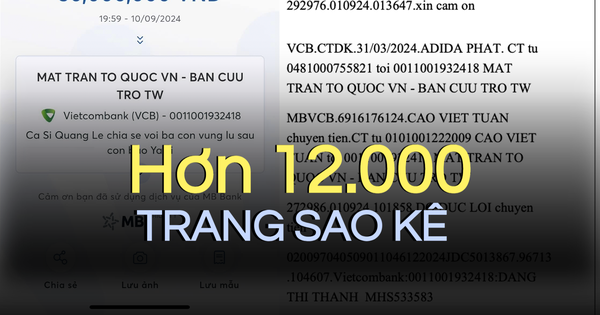 Xem và tải về sao kê của Mặt trận Tổ quốc Việt Nam hơn 12.000 trang ủng hộ đồng bào thiệt hại do ảnh hưởng bão số 3 ở đâu?