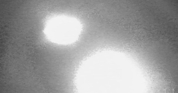 Đặt camera ẩn trong rừng hoang, phát hiện hình ảnh sốc
