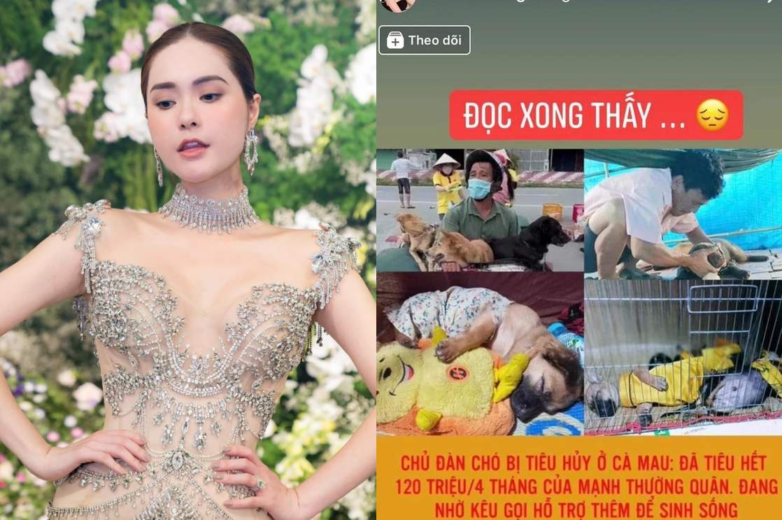 Bị tố lừa Đoàn Di Băng 50 triệu, chủ đàn chó đáp trả: Tôi rất buồn, tôi không làm gì sai cả!