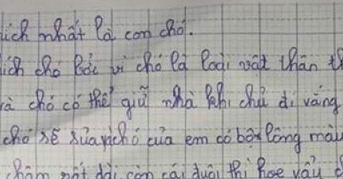 Cười ngất với bài văn tả cún cưng của bé gái tiểu học: Thích ăn kem, có lúc bỏ nhà theo trai