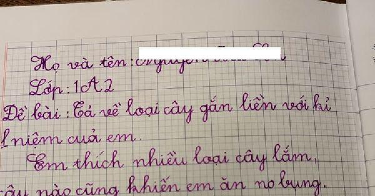 Bài văn tả loài cây kỷ niệm của học sinh tiểu học khiến cộng đồng mạng dở khóc dở cười